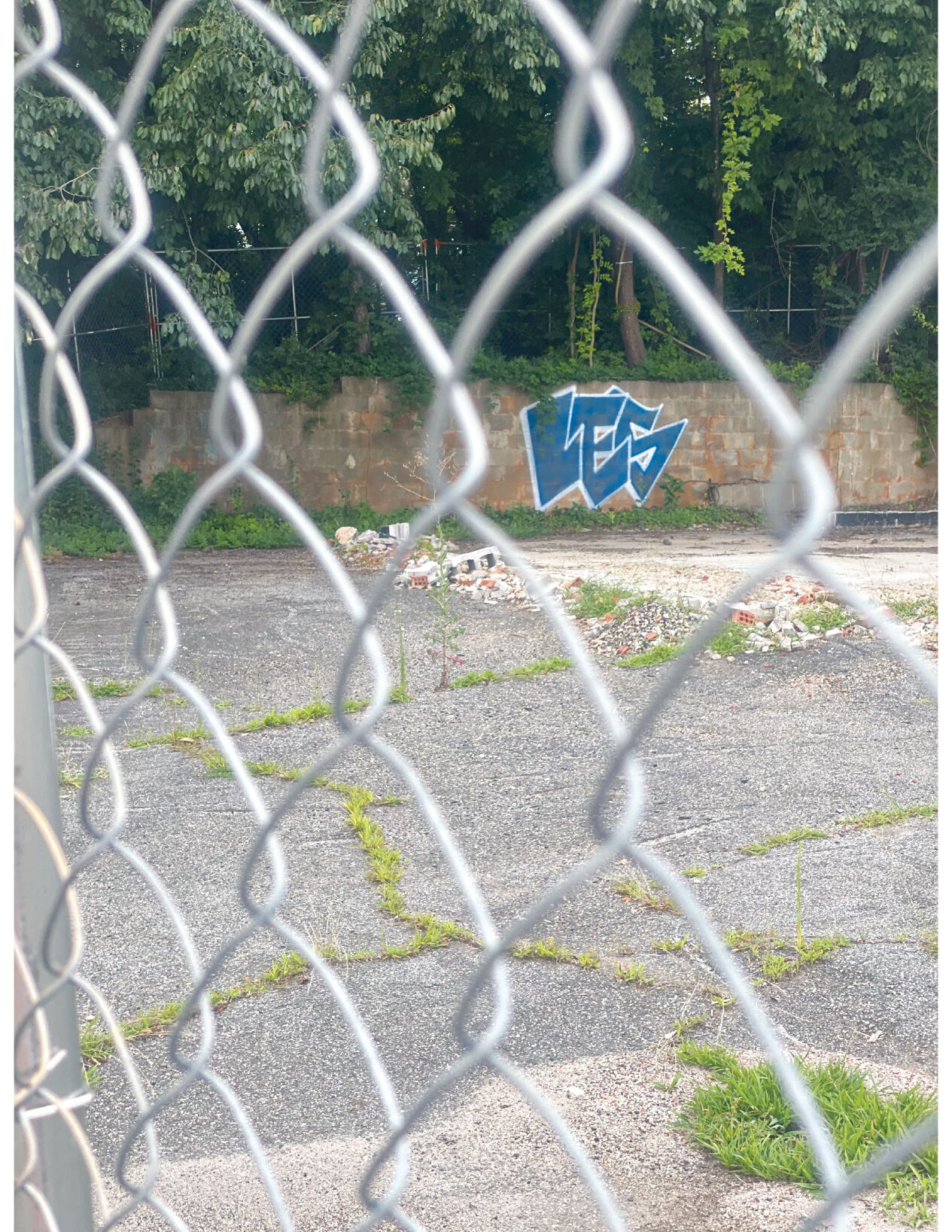 Alpharetta Gang Graffitti